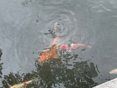 -浙江西子宾馆·瑶园咖啡厅