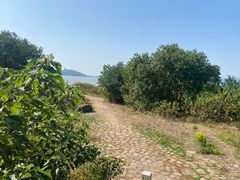 -上海市保健医疗中心