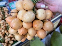 -曼阁市场水果批发市场