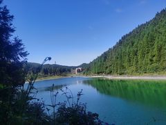 -武陵山森林公园