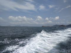 -枸杞岛