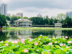 -荔湾湖公园
