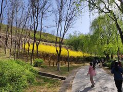 -河北省园博园