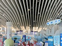 -湘江欢乐城欢乐雪域