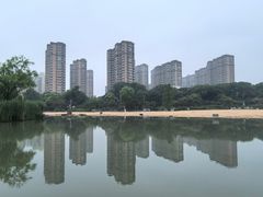 -青枫公园