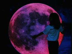 -重庆梵高星空艺术馆(解放碑旗舰店)