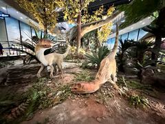 -湖南省地质博物馆