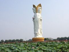 iphone_upload_pic-白洋淀景区