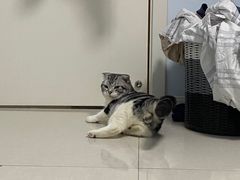 -宠颐生·恒爱宠物医院(静海店)