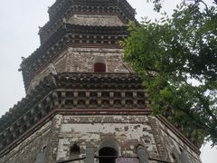 -巢湖姥山岛