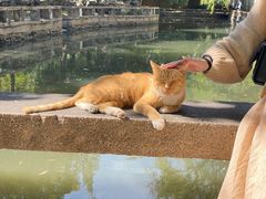 -西园戒幢律寺