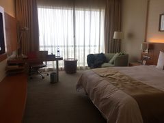-上海浦东康桥绿地假日酒店