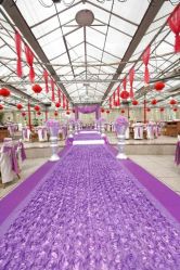 -保定金沙芝柏婚礼策划
