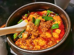 -陈麻婆豆腐总店
