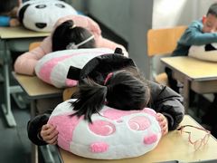 -上海市黄浦区卢湾第一中心小学