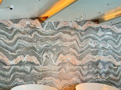 -深圳国际会展中心希尔顿酒店(前海华发冰雪世界店)