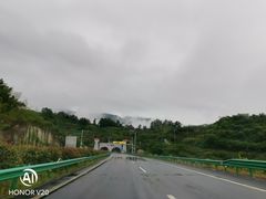 -中国大熊猫保护研究中心雅安碧峰峡基地