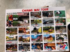 -大象粑粑造纸公园