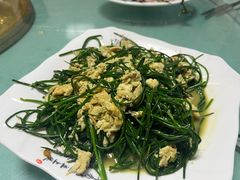 -煲来饱去冷水鱼
