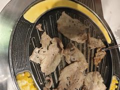 -山野的朋友露营炭火烤肉