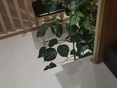 -筋骨堂热敷推拿按摩(翠华路店)
