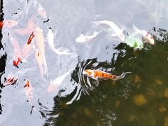 -上海延安饭店