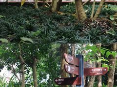 -广州神农草堂中医药博物馆