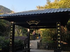 -九龙潭景区