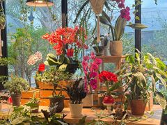 -自由生长植物工作室(深港花卉中心店)