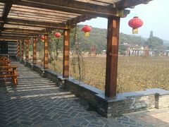-龙寺生态园