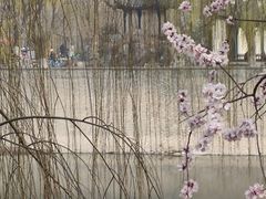 -桃花堤公园