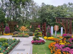 -上海共青森林公园