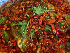 杨记招牌鱼-杨记隆府(时代天街店)