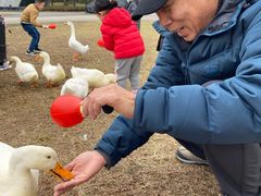 -Club Med地中海俱乐部·桂林度假村
