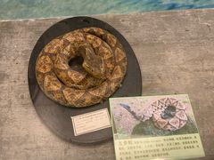 -下渚湖国家湿地公园科普馆