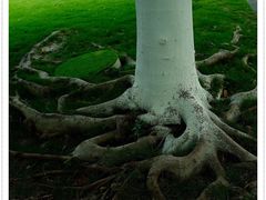 -厦门国家会计学院