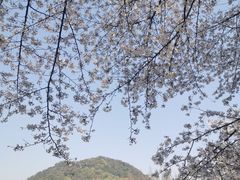 -杭州少年儿童公园