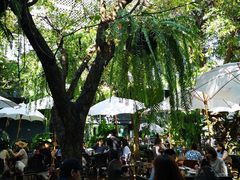 -Fern Forest Cafe