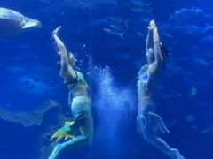 -多彩贵州城极地海洋世界