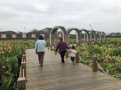 -那考河湿地公园