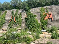 -八奇洞景区