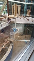 -PIPIKINGDOM皮皮王国欢乐号(欢乐海岸购物中心店)