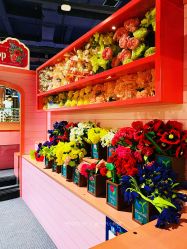 -幻贝家儿童乐园(温州银泰城店)