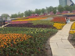 -沈阳植物园