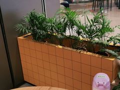 -乐凯撒披萨(喜荟城店)