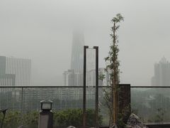 -小茶闲舍·观景商务茶馆(广州塔店)