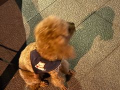 -麦当劳(展览路店)