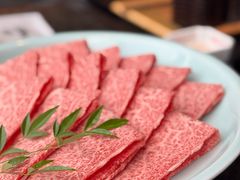 -然锅料理