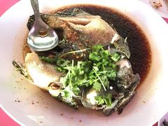 老虎斑-旗鱼海番村(Orang Asli)