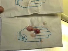 -惠康宠物医院(华能路店)